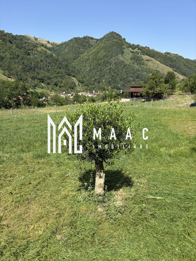 Teren Intravilan | 1053MP | Râu Sadului - Poză 5