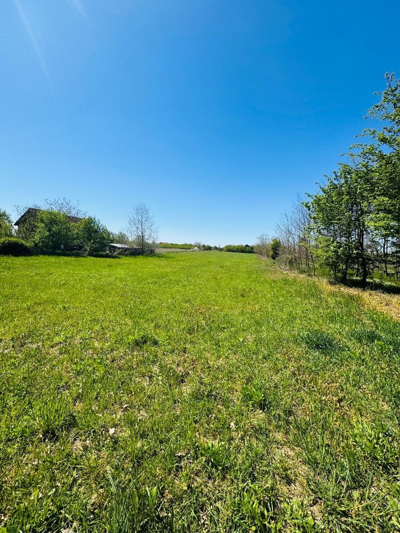 Teren intravilan 3800 mp Alparea lângă pădure - Poză 1