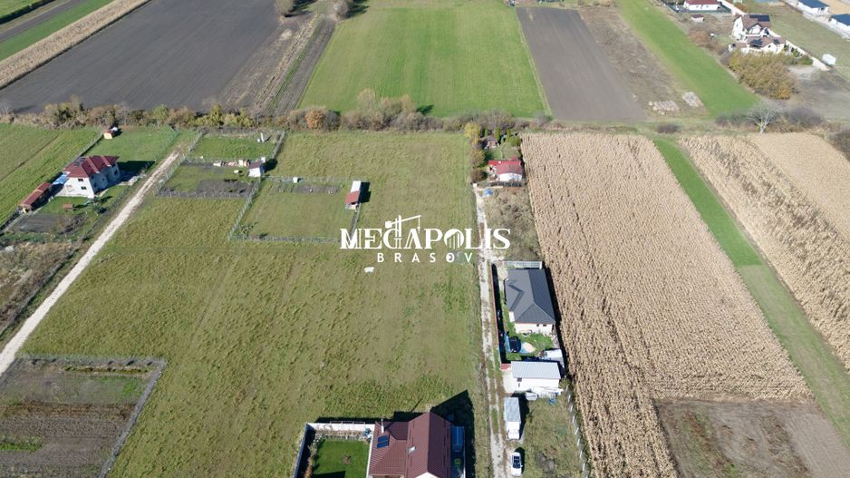 Teren / Intravilan / Stupini - Poză 5