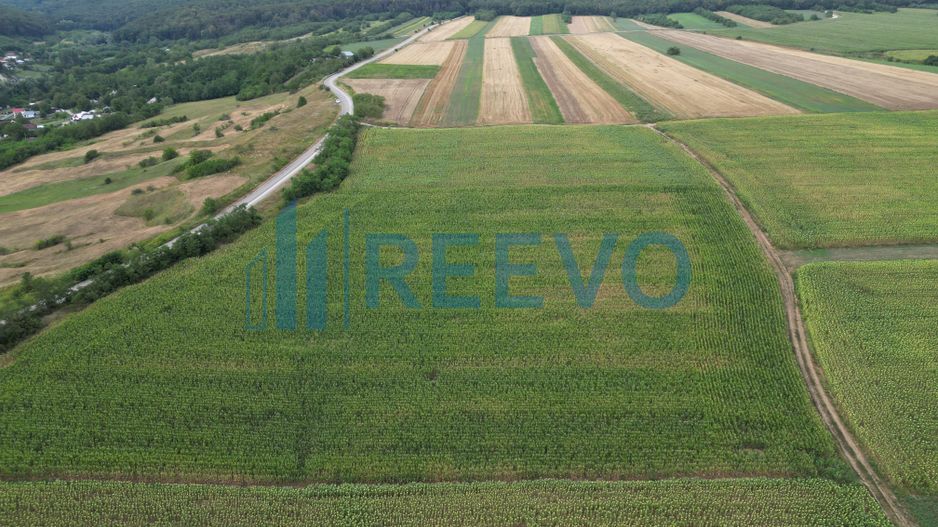 Teren de 3.600 mp Racova - Poză 3