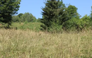 Poiana Sohodol I 5600 MP I Trei corpuri cladiri I Utilitati - Poză 73