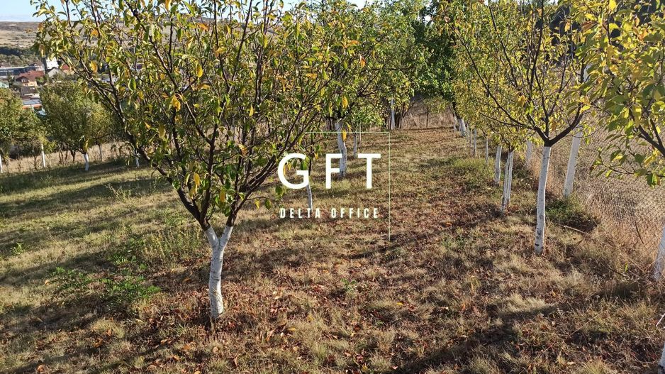 Teren intravilan 730 mp-livada-vedere panoramica-Valea Sigmirului - Poză 7