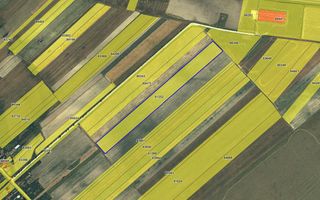 Teren agricol extravilan – Rătești, Argeș - Poză 1