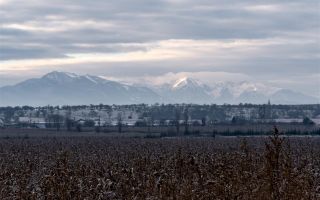 5.000 mp, teren extravilan, conditii apreciabile, Bod, Brasov - Poză 4