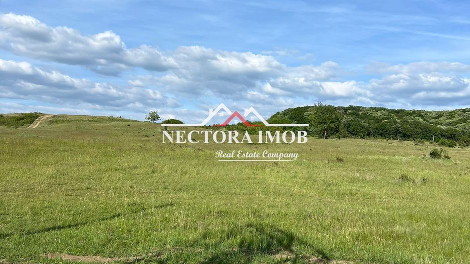 NECTORA IMOB-Teren Intravilan Baile Felix-Usa Oil, 8603 mp, Iesire DN - Poză 4