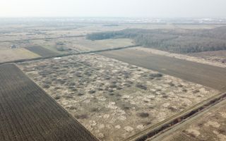 TEREN PENTRU CASA - Poză 3