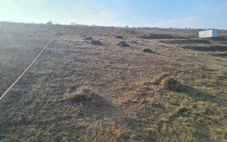 Teren intravilan de 980 mp în Iași – front stradal 20 ml - Poză 4