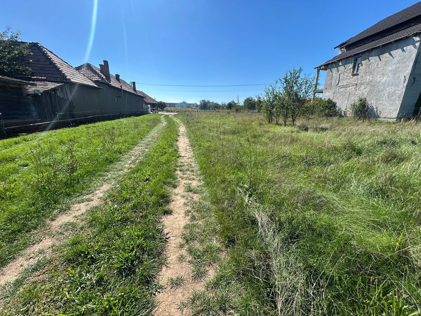 Teren intravilan, 5700mp - Teius - Poză 1