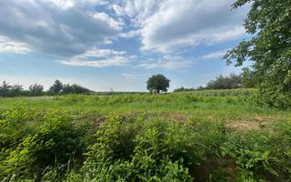 De vânzare teren în comuna Buciumi - Poză 3