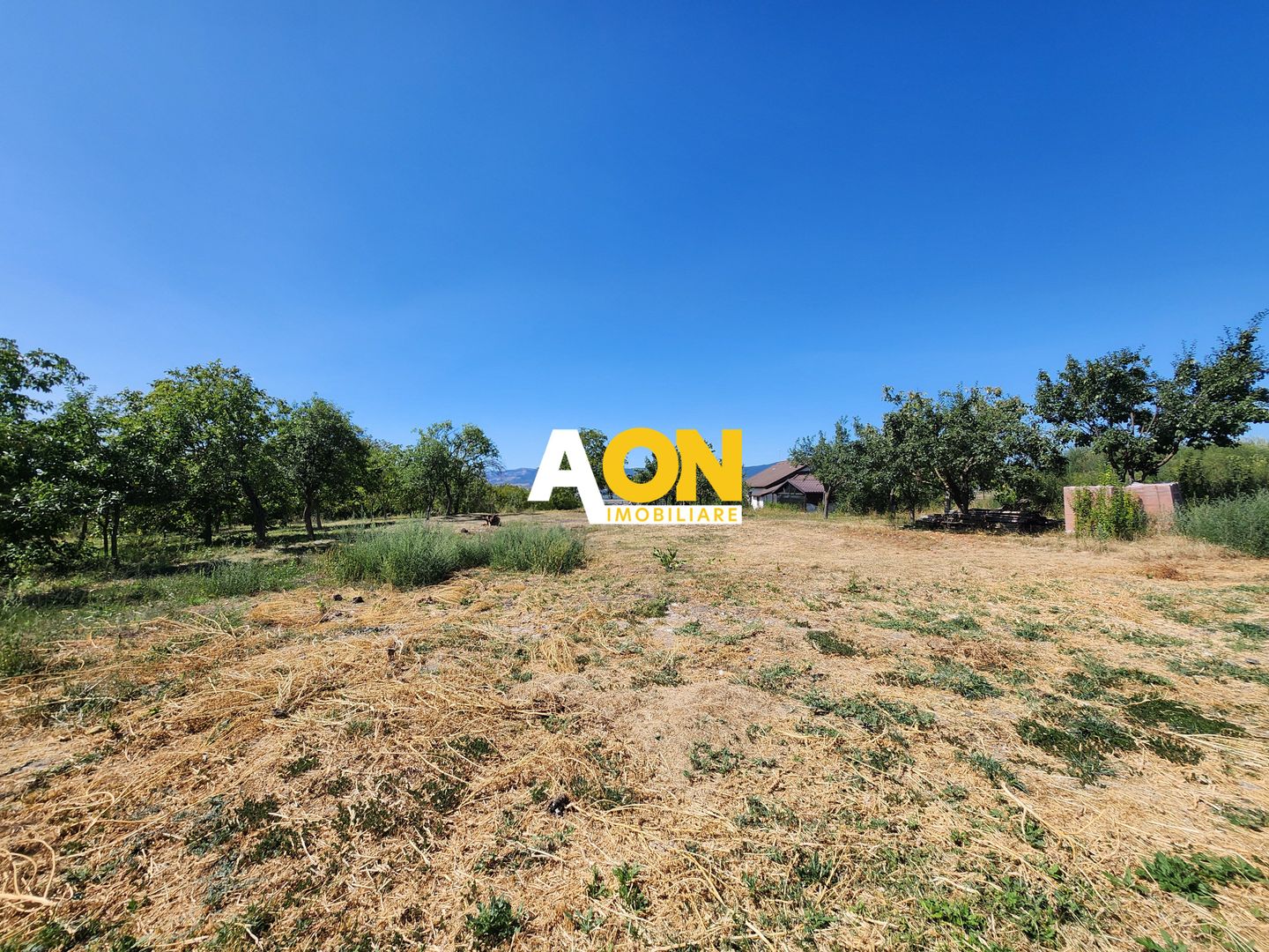 De vanzare teren 10.651mp intravilan, parcelabil, Oarda de Sus - Poză 7