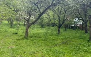 TEREN INTRAVILAN 7018 MP CAMPULUNG - Poză 34