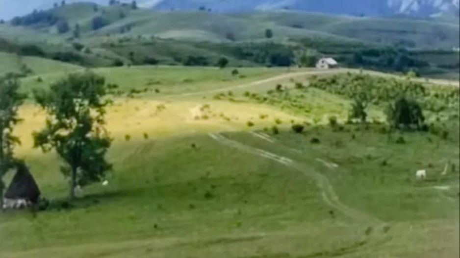 Teren extravilan Transapuseana - Poză 2