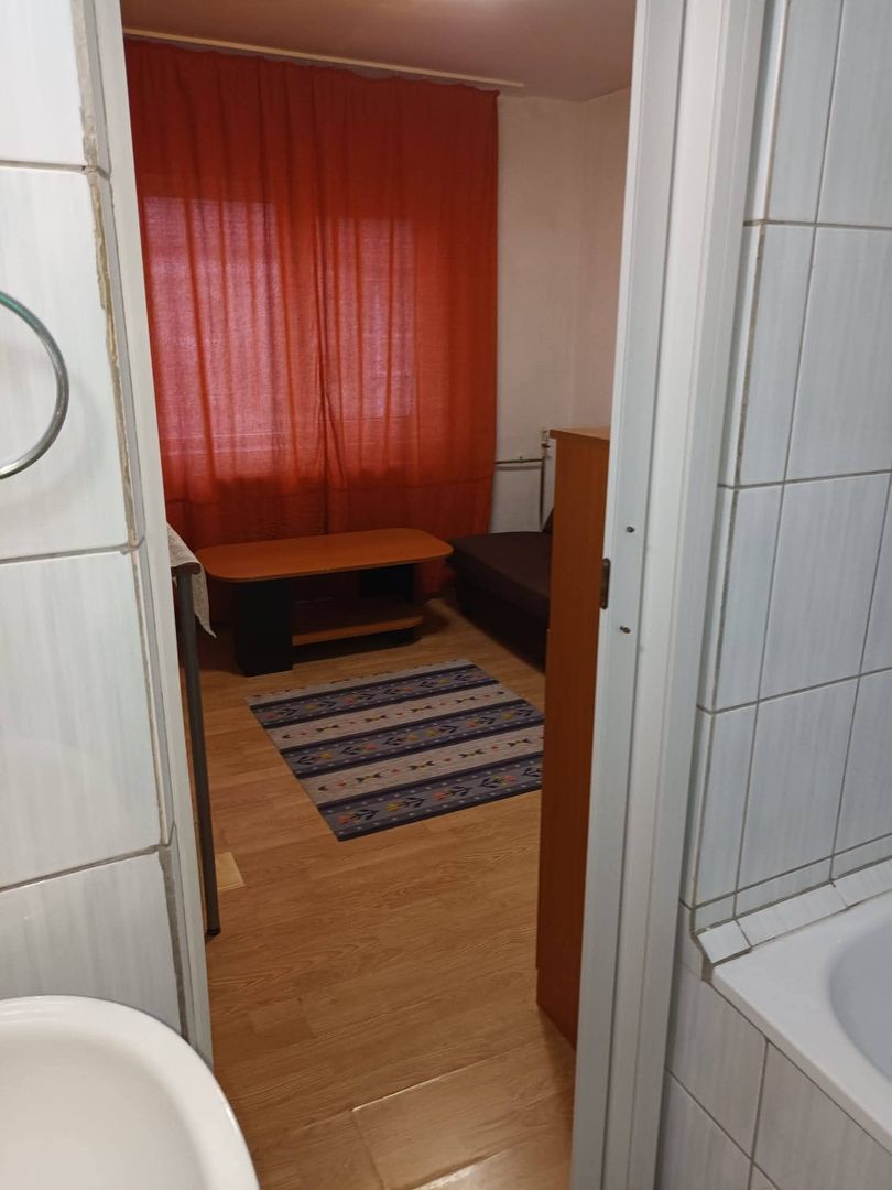 Apartament cu 1 camera - Calea Aradului - Poză 10