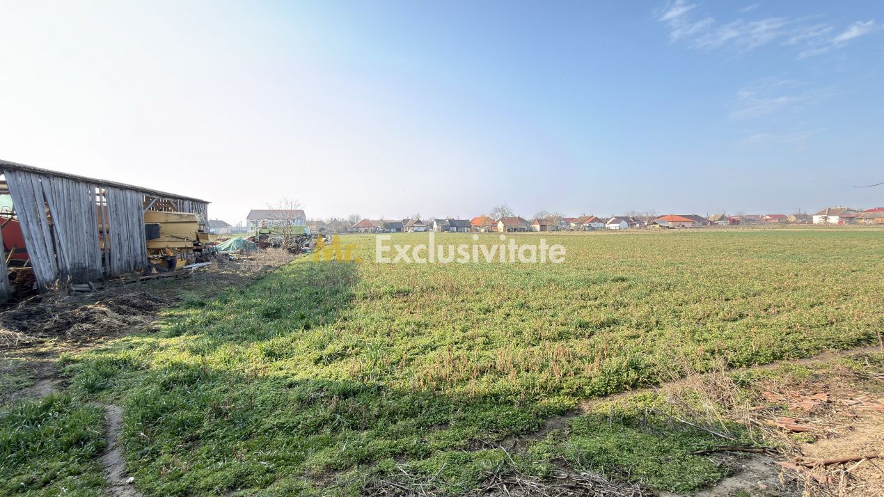 Casă 4 camere, Teren 2.948 mp Tiream SM - Comision 0% cumpărător - Poză 9