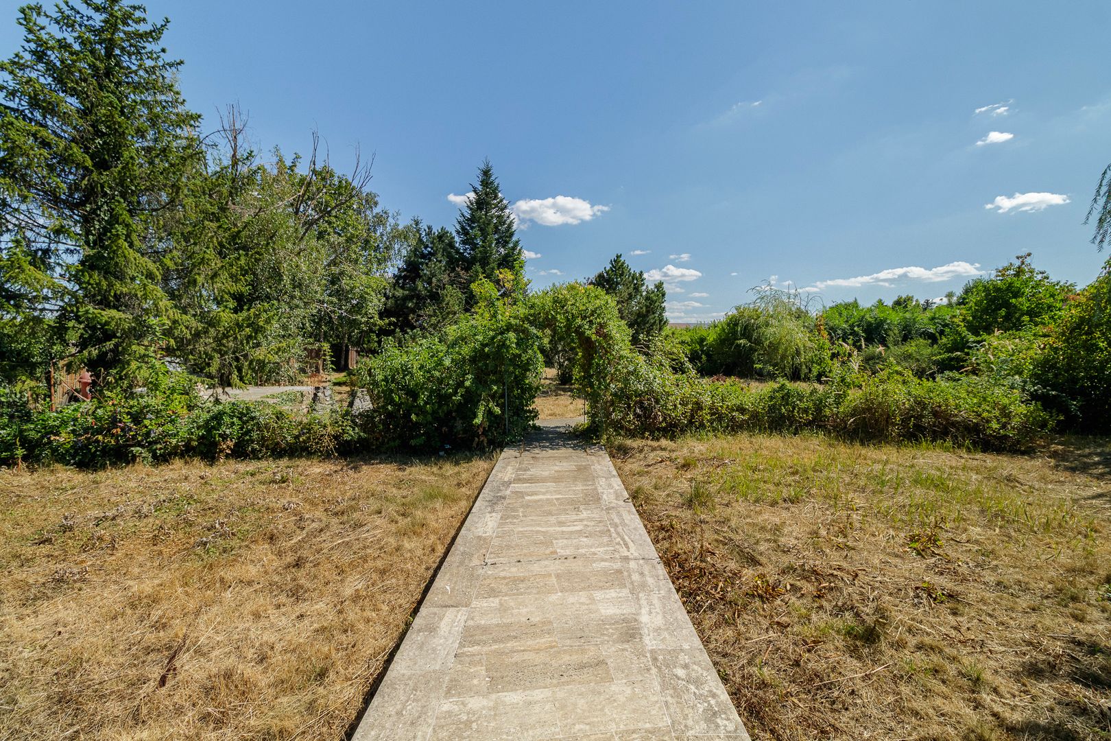 Domeniu privat 5.000 mp, cu reședință de 625 mp și piscină, Corbeanca - Poză 14