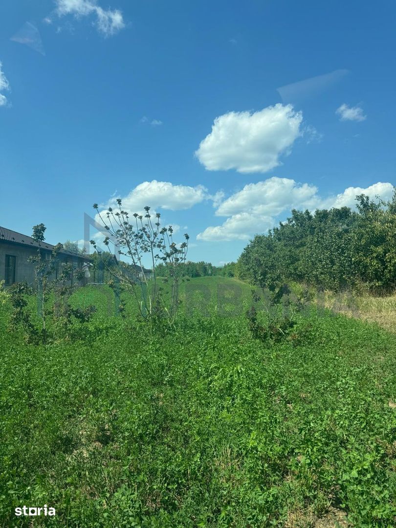 Teren intravilan de 3.000 mp în Aroneanu, cu PUZ realizat și indicatori urbanistici definiți - Poză 2