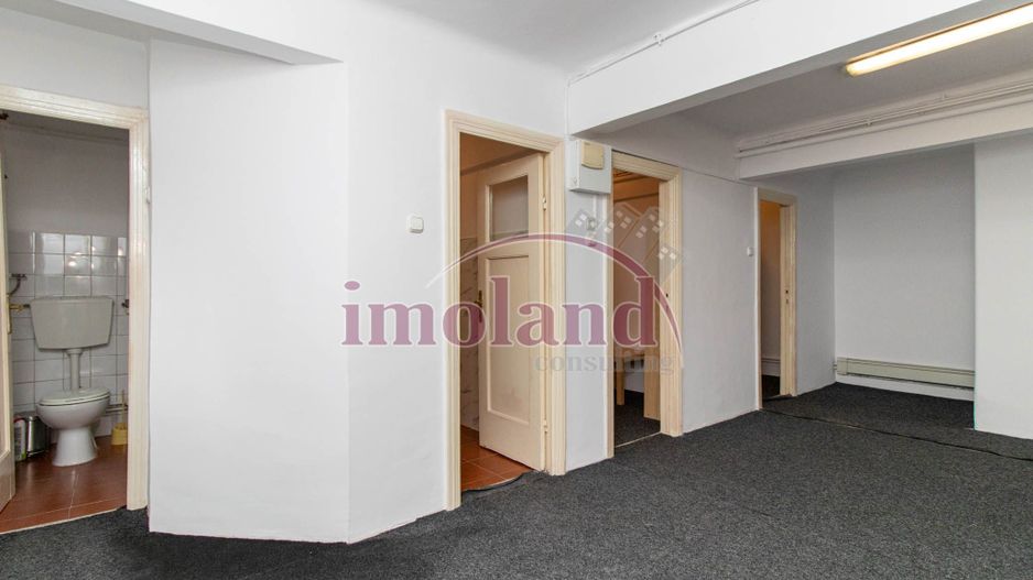 Inchiriere - Rezidenta/Birouri - Vila cu curte - Aviatorilor - Poză 33