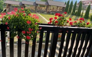 Vilă 7 Camere |  256 MPU |  2000 MP Teren Terasat | Tocile - Poză 6