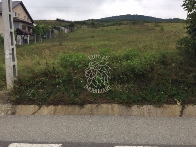 Teren intravilan 3700 mp-priveliste deosebita-Crainimat - Poză 1