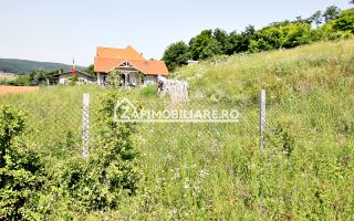 Teren 5.000 mp Corunca in spate la Dacia 40 euro mp - Poză 7