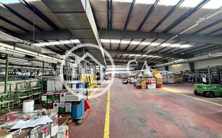 Hală de închiriat în zona industrială Santion, Bihor - Poză 9