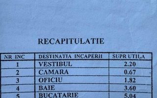 Garsoniera Lux Banu Manta-Titulescu - Poză 10