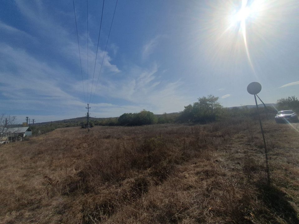 Vanzare teren arabil 22 Ha, plan, Arges, Moraresti - Poză 9