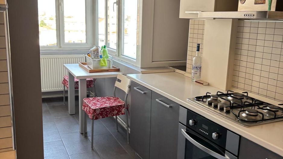 AP 2 CAMERE P-TA UNIRII, PET-FRIENDLY, BUCATARIE INCHISA, MODERN - Poză 7