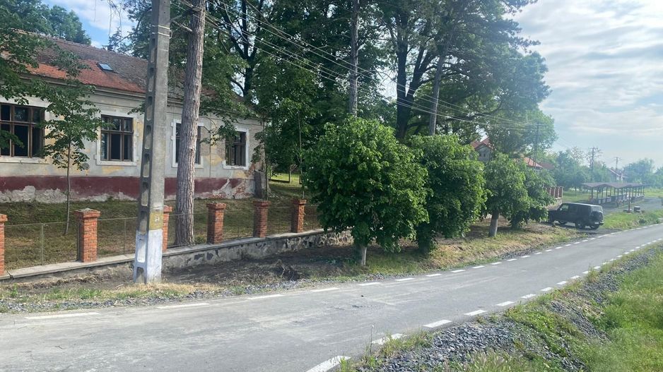 VILA DE VANZARE IN BALINT - Poză 6