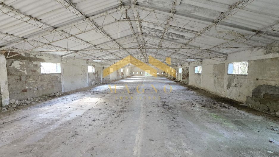 Hale industriale de vânzare – Arad, zona Exterior Vest / Calea Bodrog - Poză 7