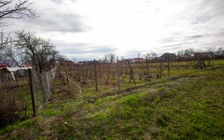 Casa si teren 3365mp Sascut - Poză 35