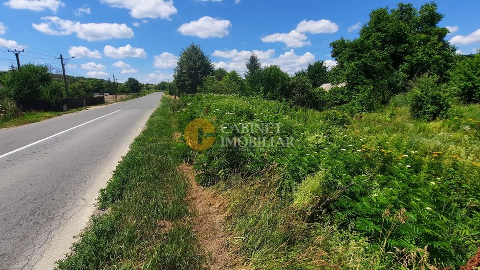 🌳 🌞🌿 TEREN INTRAVILAN OSOI 2800 mp - 49.999 Euro ! 🌳🌞🌿 - Poză 6