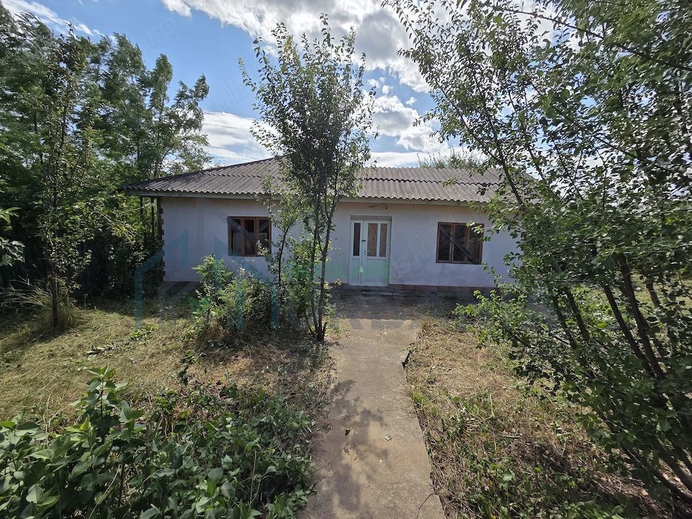 Teren intravilan 1.335 mp cu casă, comuna Erbiceni, județul Iași - Poză 5