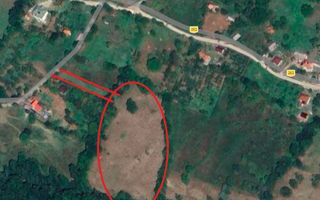 Teren extravilan de vânzare 11.740 mp Corbeni Turburea Argeș - Poză 2