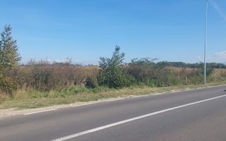 TEREN STUPINI BRASOV - Poză 8