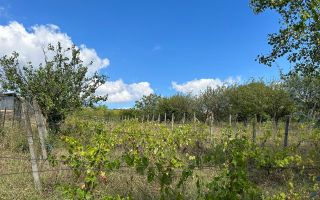 Casa si teren 4333 mp de vanzare in Tomesti - Chicerea-90,000 € - Poză 3