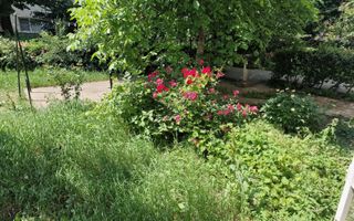 țApartament cu 2 camere de vânzare în zona Mioritei - Poză 14