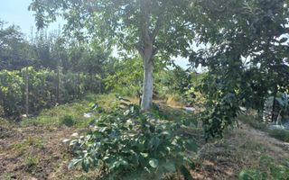 Casă individuală Plopi, 75 mp, teren 1.365 mp, 2 corpuri - Poză 6