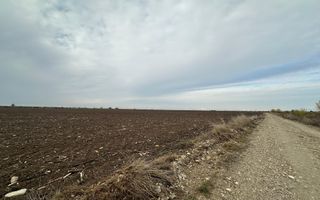 Teren extravilan de vânzare – în apropierea autostrăzii A1, km 80 - Poză 5