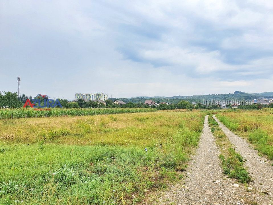Vanzare Teren Racovita Intravilan - Poză 9