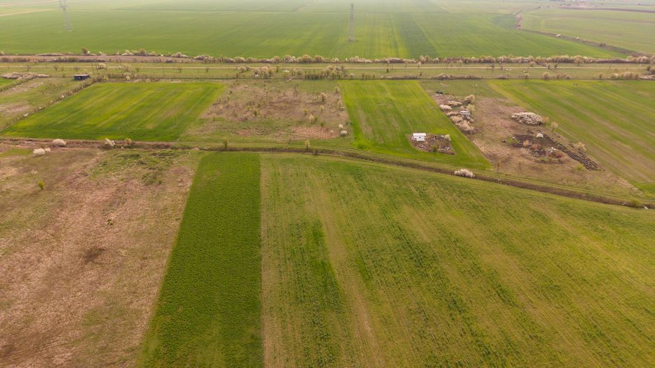 Teren intravilan 6150 mp – Sânleani, jud. Arad - Poză 3