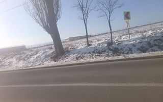 Teren intravilan și extravilan de 10.000 mp în Voinesti, Iași - Poză 1