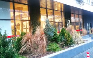 Spatiu comercial de inchiriat- (cod10)- EUROMATERNA - Poză 1