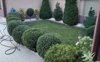 Vilă de lux de închiriat – ideală pentru afaceri - Poză 7