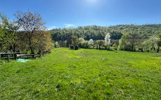 TEREN INTRAVILAN 2592 MP,  ALBESTI DE MUSCEL, ARGES - Poză 6