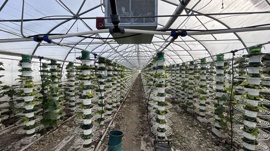 De vanzare-afacere la cheie - Poză 7