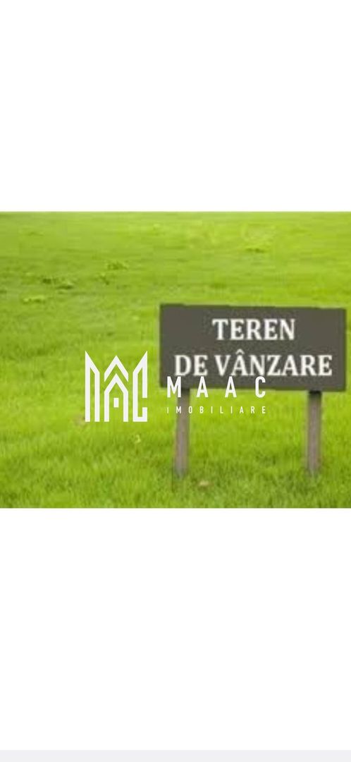 Teren extravilan | Industrial Vest | Investitie | Acces direct - Poză 3