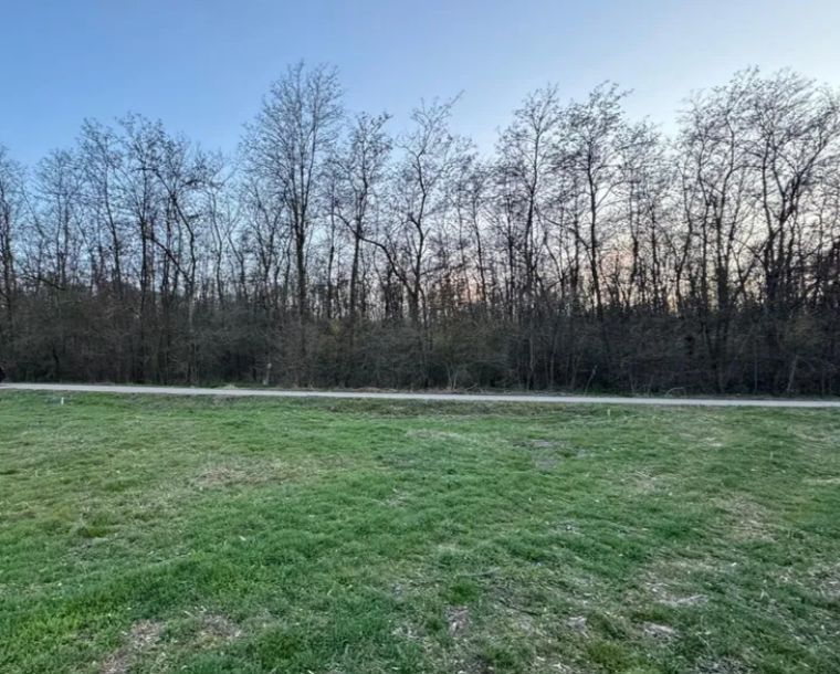 intravilan in vecinatatea palatului Snagov - Poză 3