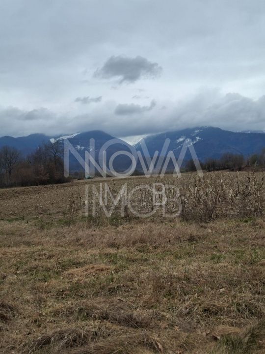 Teren extravilan de vanzare - Arpasul de Sus - Poză 7