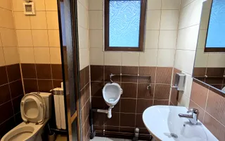 Horeca-  Spatiu restaurant, complet echipat- Copou - Curte/ terasa amenajata - Poză 14